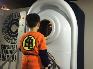 Illustration for article titled The Dragon Ball Science Museum